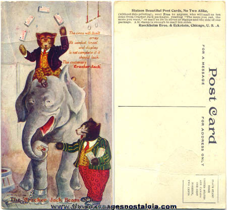 1907 Cracker Jack Bears Advertising Premium / Prize Post Card #11