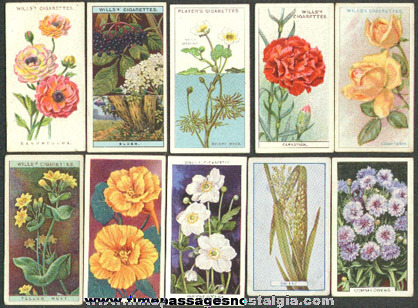 (10) Old Flower Tobacco / Cigarette Premium Trading Cards