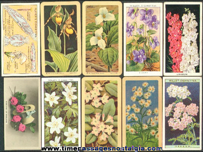 (10) Old Flower Tobacco / Cigarette and Tea Premium Trading Cards