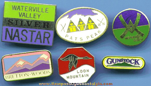 (6) Different Enameled Advertising Ski Pins