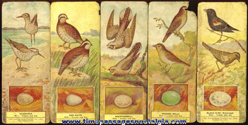 (16) Old PATTERSON CANDY COMPANY Advertising Premium Bird Cards