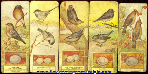 (16) Old PATTERSON CANDY COMPANY Advertising Premium Bird Cards