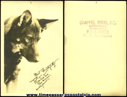 1931 Rin-Tin-Tin / Ken-L-Ration Advertising Premium Photograph