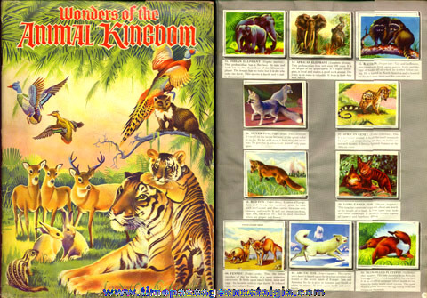 1959 Sticker Book Entitled "WONDERS OF THE ANIMAL KINGDOM"