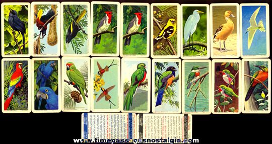 (47) Colorful Old Brooke Bond Tea Company Bird Trading Cards