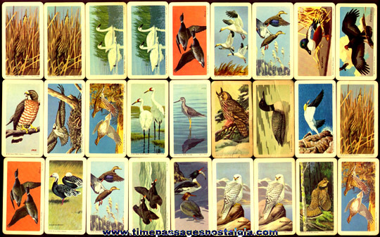 (52) Colorful Old Brooke Bond Tea Company Bird Trading Cards