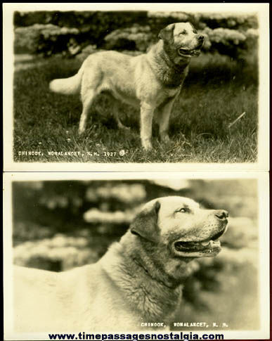 (2) Matching Unused 1927 Real Photo Dog Post Cards