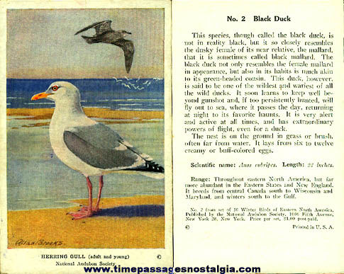 (47) Old Boxed Audubon Bird Cards