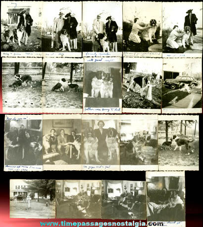 (19) Small 1943 St. Bernard Dog Photographs