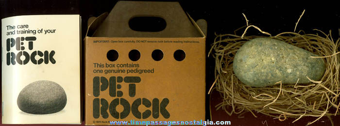 Original 1975 Pet Rock With Case & Book