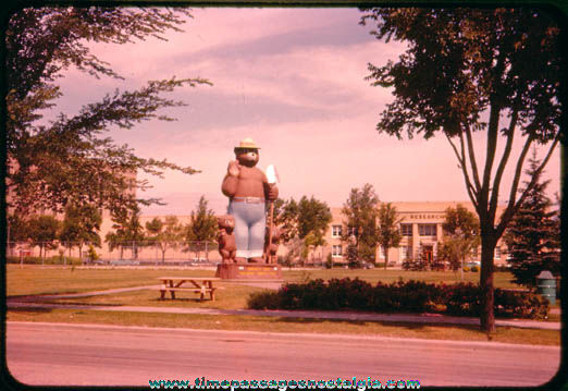 Old Smokey Bear Statue Photograph Slide