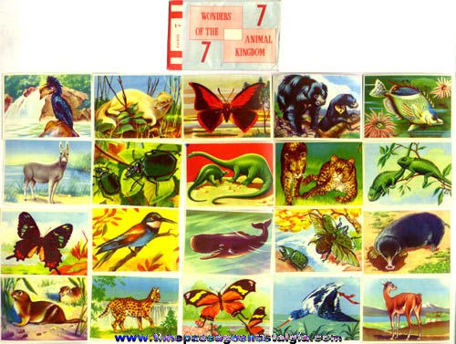 Old Packet Of (20) Colorful Unused Animal Kingdom Stamps