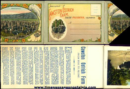 Old Cawston Ostrich Farm Souvenir Post Card Folder
