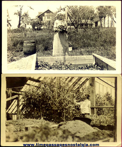 (2) 1927 Garden / Gardening Photographs