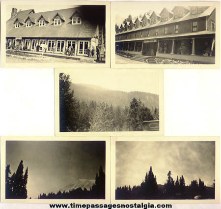 (10) Old Mount Rainier National Park Photographs & Negatives