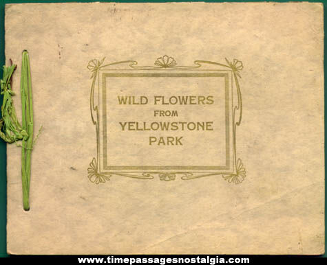 Old Yellowstone National Park Dried Wild Flowers Scrap Book