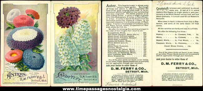 (2) Colorful 1889 Flower Seed Advertising Trade Cards