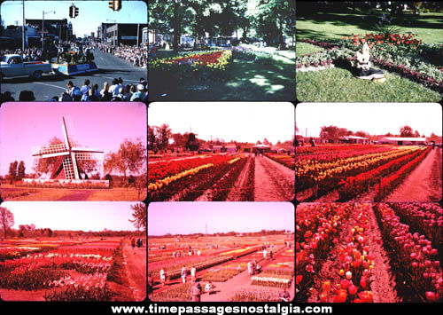 (21) Old Holland Michigan Parade & Flowers Photograph Slides