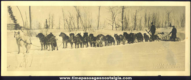 1920s Alaska Sled Dog Team Photograph