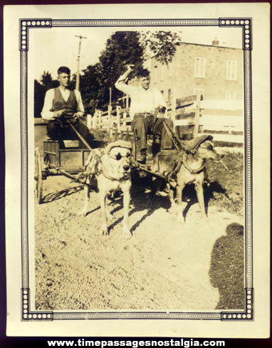 Unusual Old Photograph of Boys Riding Dog Carts