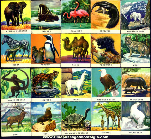 animal trading cards