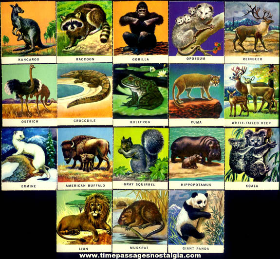 (38) Colorful Old Animal Trading Cards