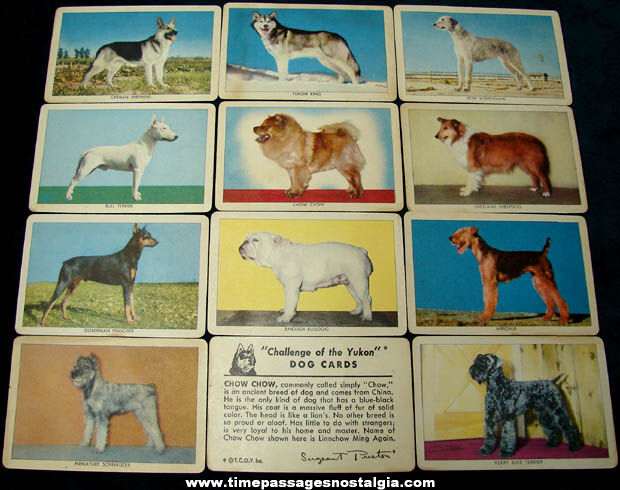 (11) ©1949 Sergeant Preston Challenge Of The Yukon Quaker Cereal Prize Dog Cards