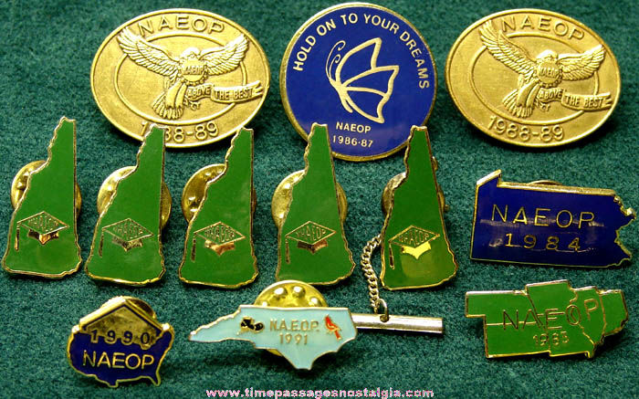 (12) National Association of Educational Office Professionals Membership Pins