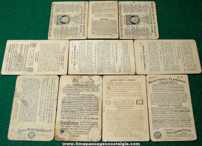 (10) Different Old Arm & Hammer Baking Soda Animal Trading Cards