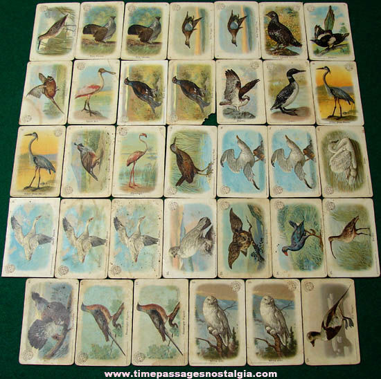(34) ©1908 Arm & Hammer Baking Soda Bird Trading Cards