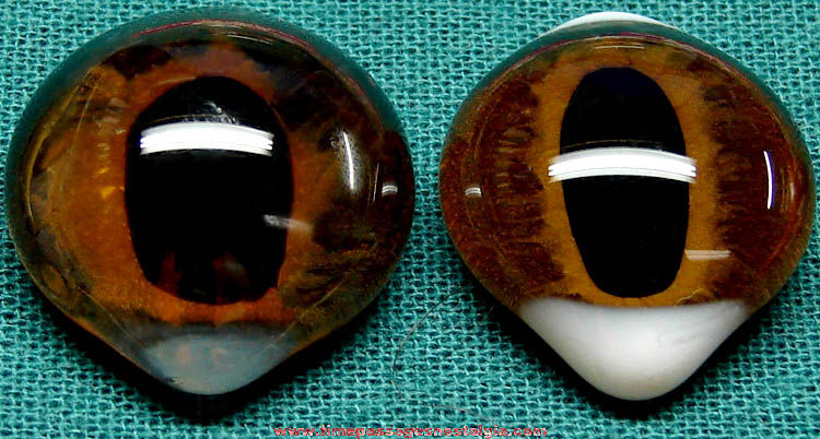 (2) Different Old Animal Taxidermy Glass Eyes