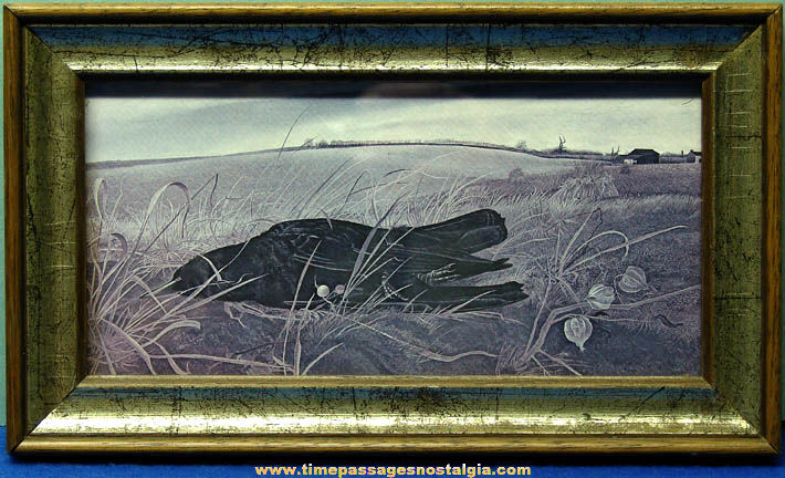 Unusual Old Framed Dead Crow Bird Art Print