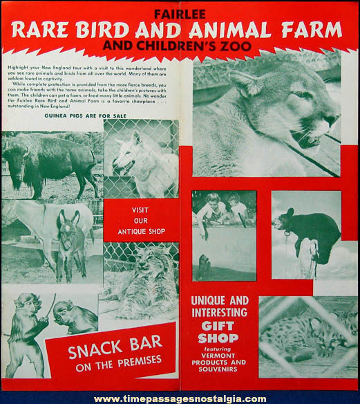 Colorful Old Fairlee Vermont Rare Bird and Animal Farm Advertising Brochure