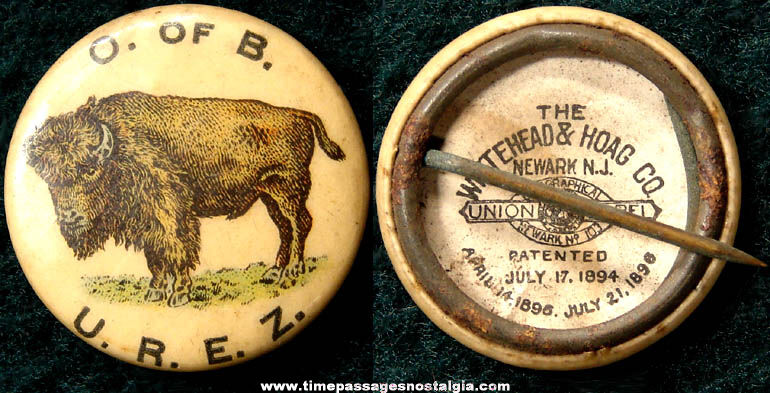 1896 Buffalo or Bison Celluloid Pin Back Button