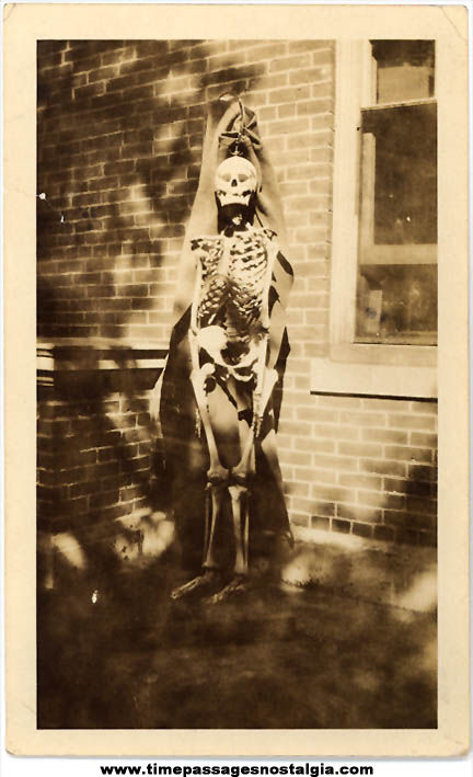 1924 Black & White Skeleton Model Photograph
