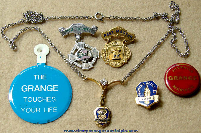 (6) Different Small Old Grange Pins & Necklace