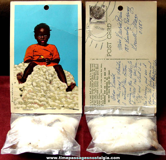 1966 Black Child Post Card With Attached Cotton Boll