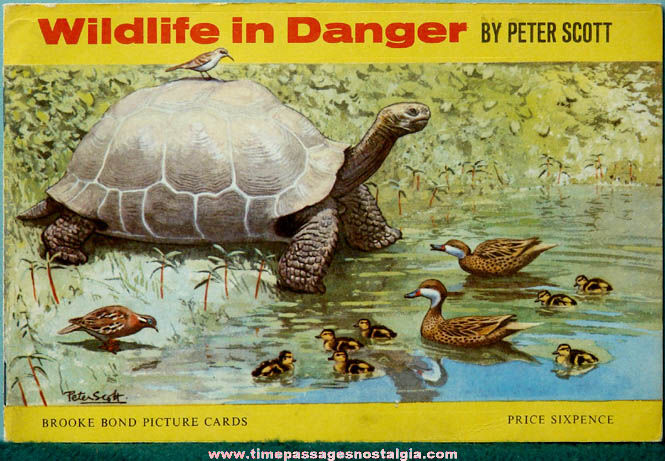 Old Brooke Bond Tea Advertising Premium Wildlife In Danger Card Set Album
