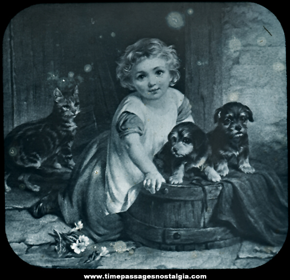 Old Child With Puppies and Cat Magic Lantern Photograph Slide