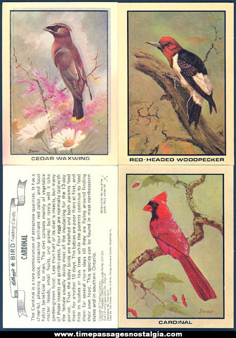 (4) Colorful Unused 1977 Kellogg’s Cereal Box Prize Bird Trading Card Stickers