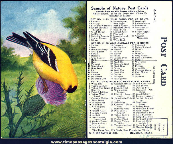 Colorful Old Post Card Company Advertising Sample Bird Post Card