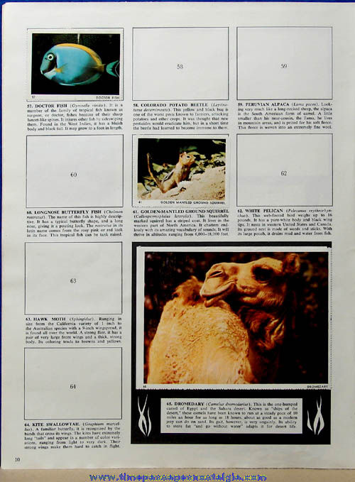 1967 Wonderful World of Animals Random House Sticker Book with (41) Stickers