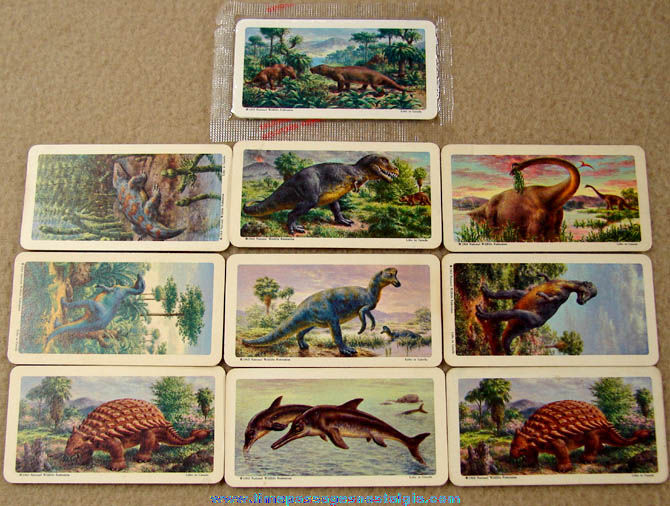 (11) 1963 Brooke Bond Tea Premium Series #5 Blue Back Dinosaur Trading Cards