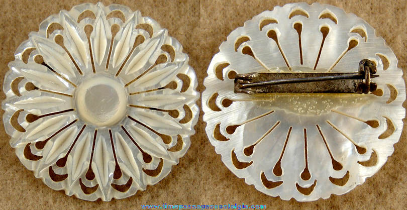 Old Carved Flower or Star Shell Jewelry Brooch Pin