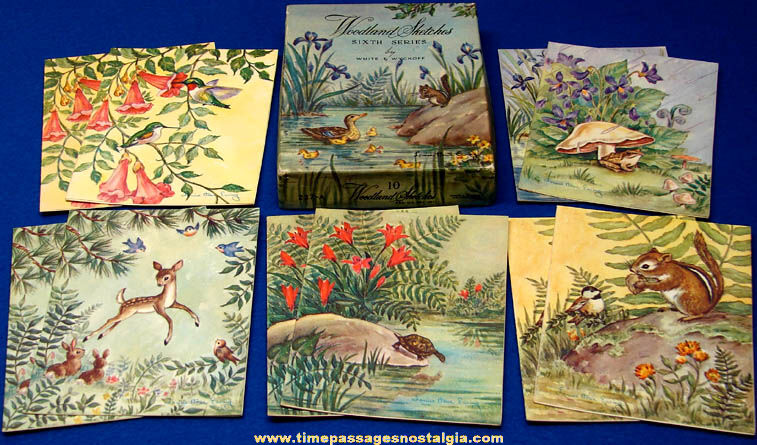 (10) Old Unused Boxed Set of Louise Howe Ewing Woodland Sketches Greeting Cards