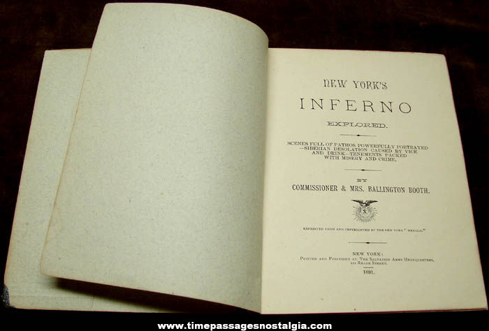 1891 New York’s Inferno Cloth Covered Book