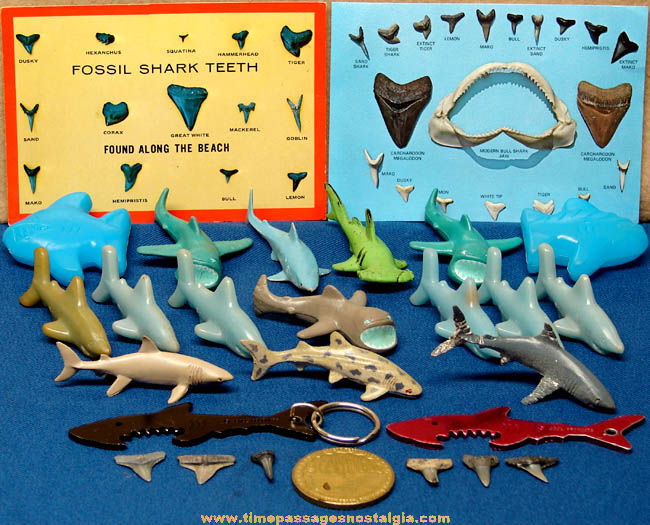 (27) Small & Miniature Shark Related Items