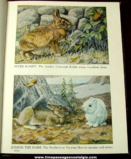 ©1941 Thornton Burgess The Little Burgess Animal Book For Children