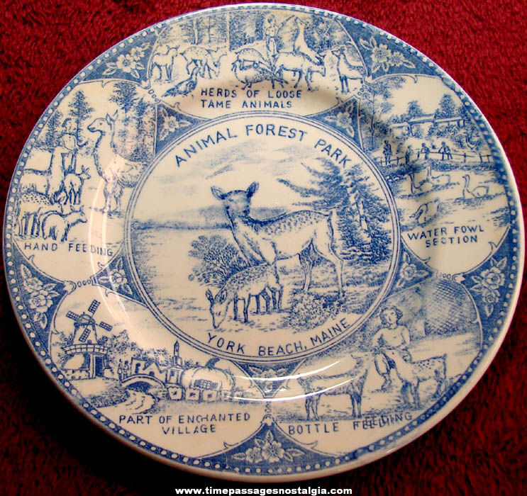 Old Animal Forest Park York Beach Maine Advertising Souvenir China Plate