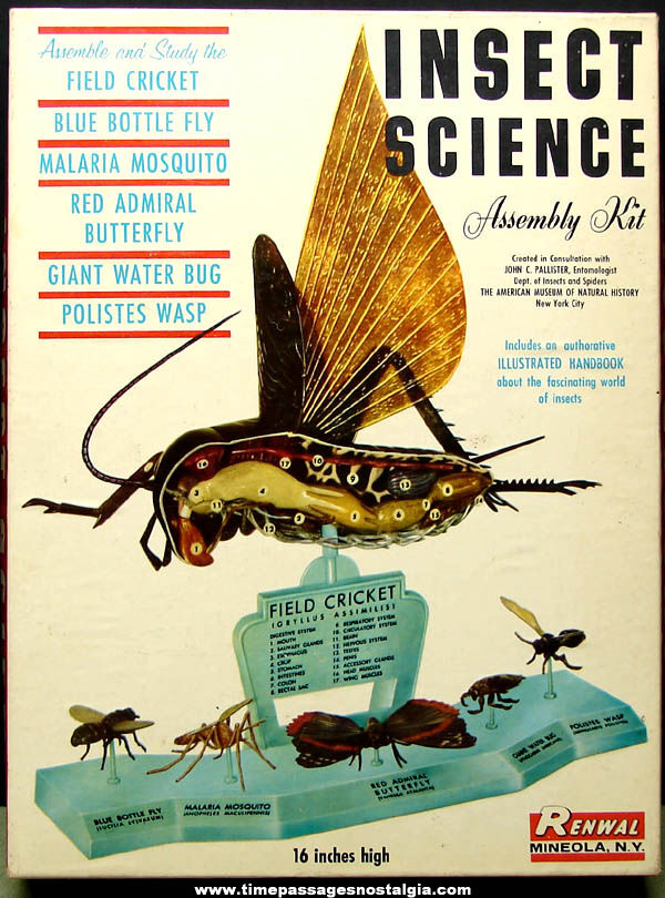 Large Boxed Educational 1960 Renwal Insect Science Plastic Model Assembly Kit